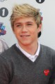 /album/fotos-do-niall/hbrtdg-jpg1/